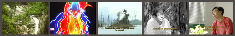 Wild Forest of My Dream